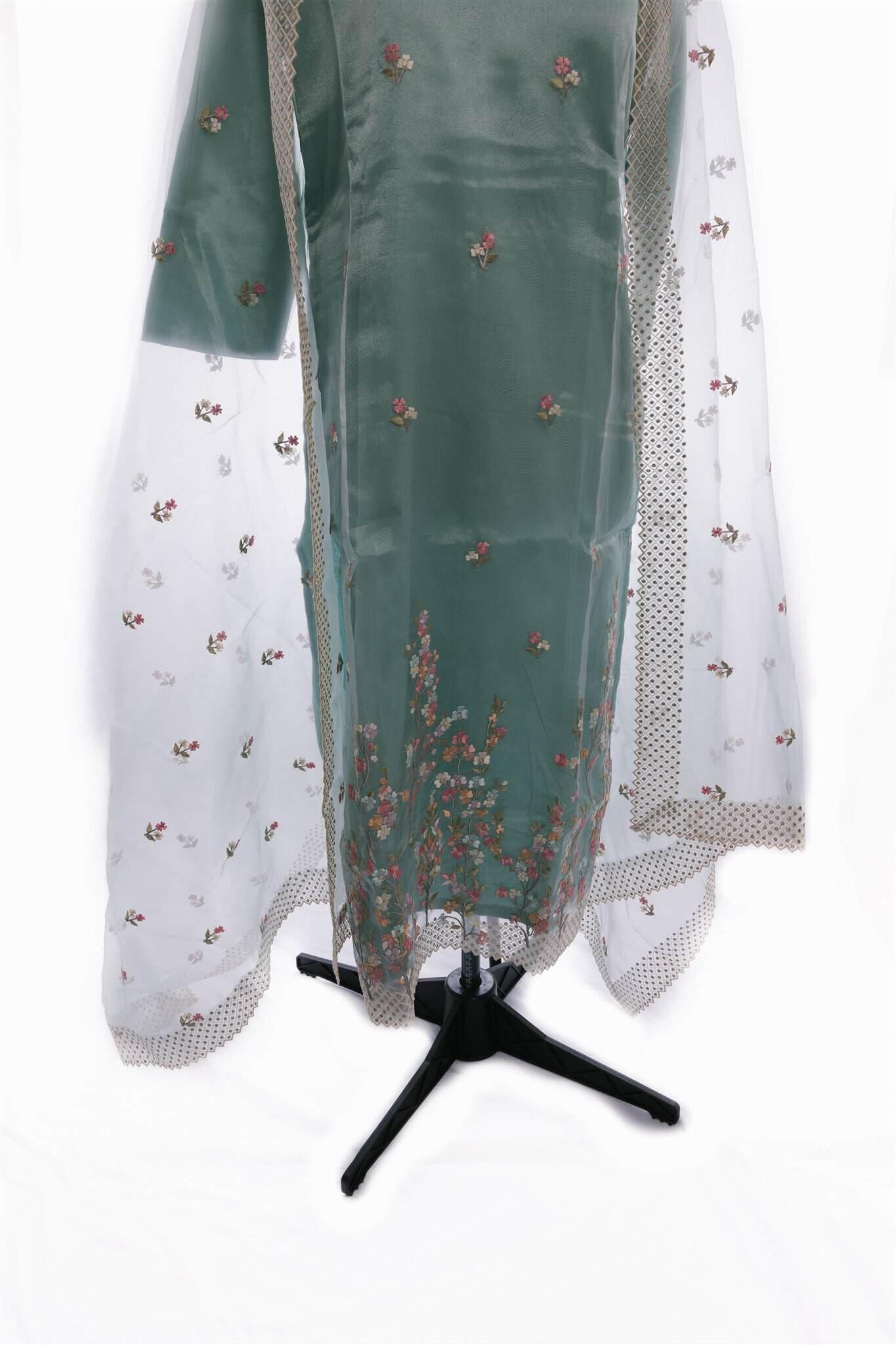 Pastel Sea Green Soft organza Salwar Suit